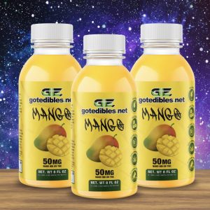 3 Pack Mango Juice Drink